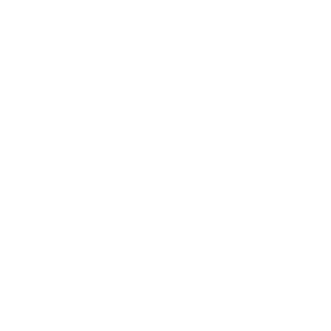 Client 27